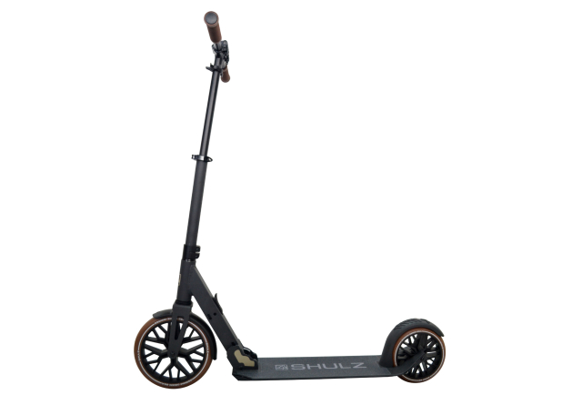 Shulz 250 Speed skrejritenis