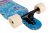 D Street Dropthrough Reef dēlis