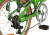 Shulz Easy Velosipēds