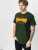 Thrasher T-krekls Flame Forest Green