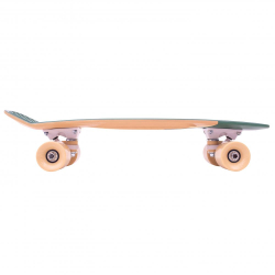 "Penny Boards ""22"" ar dizainu"