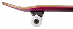 Rocket Complete Double Dipped Violets 7.75