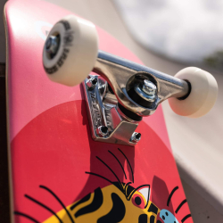 Z-Flex Street Complete Aragon Rozā 7.8 skateboard