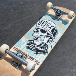 Z-Flex Street Completes Skull Dabīgs-White 8 skateboard
