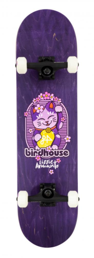 Birdhouse Complete Stage 3 skrituļdēlis 8"