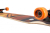AOB Walking Leaf Complete Longboard