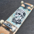 Z-Flex Street Complete 8.00 skrituļdēlis